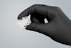 Flexible Oligomers, Gloved Hand Holding a Clear Flexible Structure